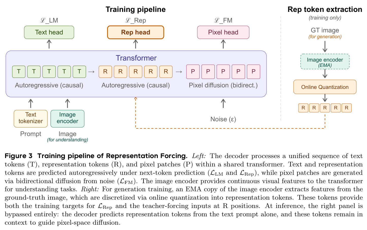 Training pipeline of Representation Forcing