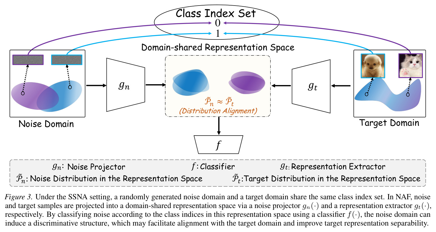 Under the SSNA setting, a randomly generated noise domain and a target domain share the same class index set. In NAF, noise and target samples are projected into a domain-shared representation space via a noise projector gn(·) and a representation extractor gt(·), respectively. By classifying noise according to the class indices in this representation space using a classifier f(·), the noise domain can induce a discriminative structure, which may facilitate alignment with the target domain and improve target representation separability.