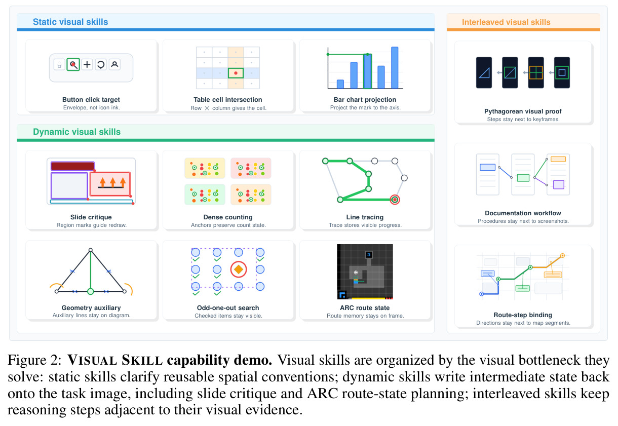 VISUAL SKILL capability demo.