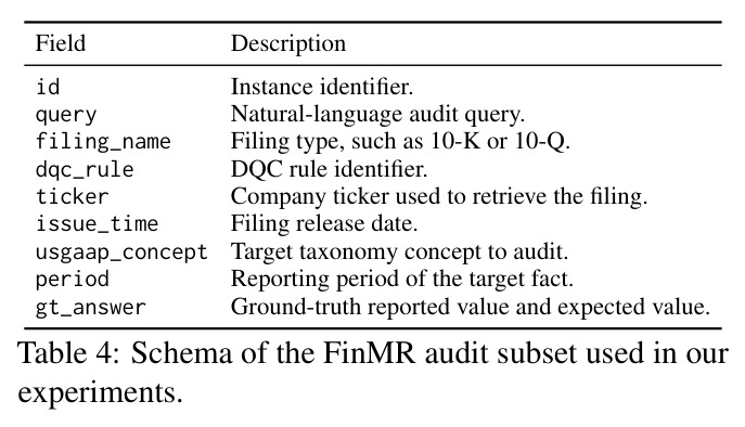 Schema of the FinMR audit subset used in our experiments.