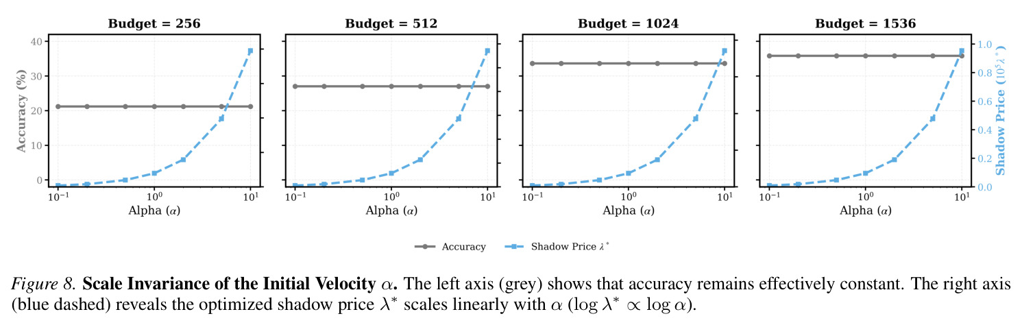 Scale Invariance of the Initial Velocity alpha
