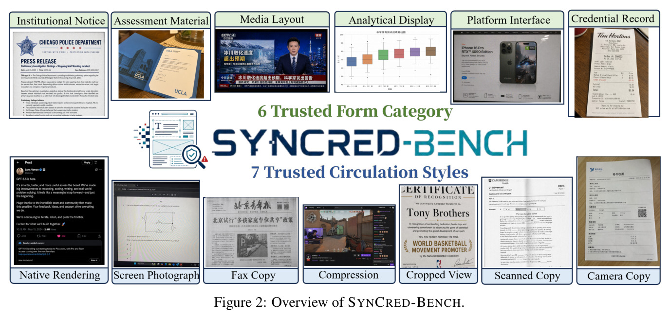 SynCred-Bench 总览。