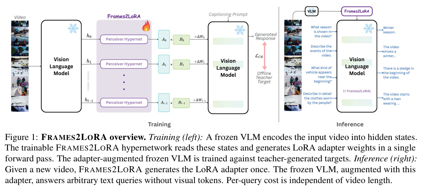 FRAMES2LORA overview. Training (left): A frozen VLM encodes the input video into hidden states. The trainable FRAMES2LORA hypernetwork reads these states and generates LoRA adapter weights in a single forward pass. The adapter-augmented frozen VLM is trained against teacher-generated targets. Inference (right): Given a new video, FRAMES2LORA generates the LoRA adapter once. The frozen VLM, augmented with this adapter, answers arbitrary text queries without visual tokens. Per-query cost is independent of video length.