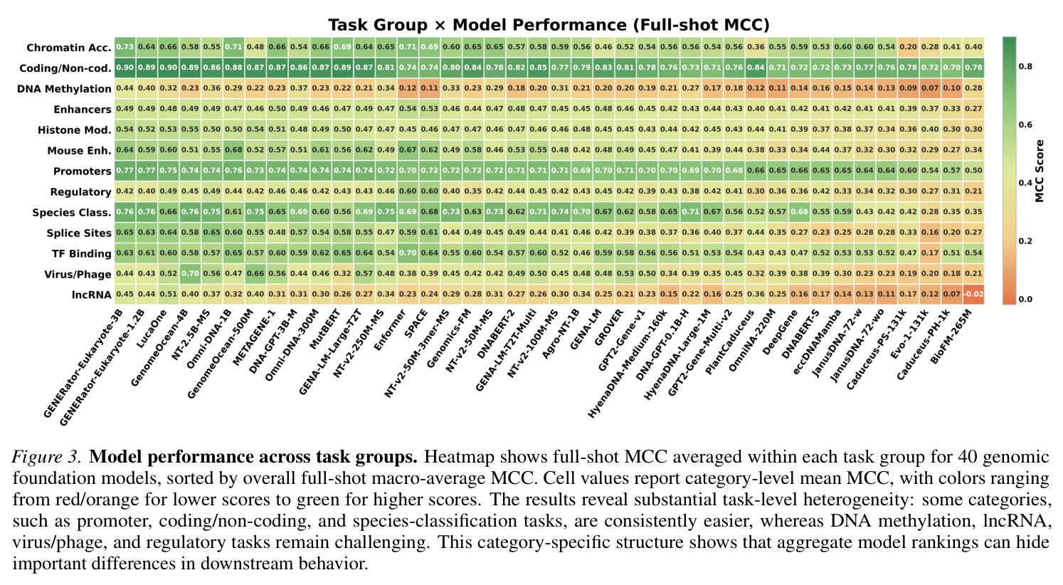 Model performance across task groups