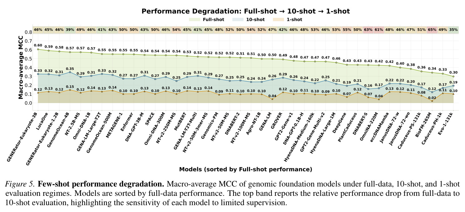 Few-shot performance degradation