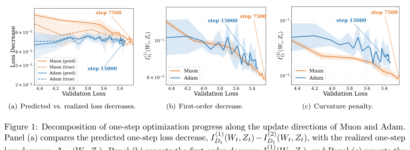 Decomposition of one-step optimization progress along the update directions of Muon and Adam.