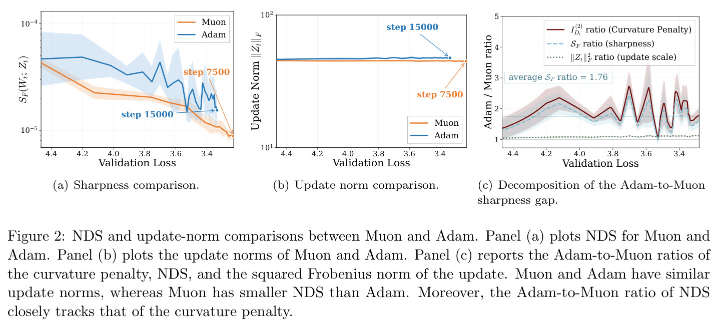 NDS and update-norm comparisons between Muon and Adam.