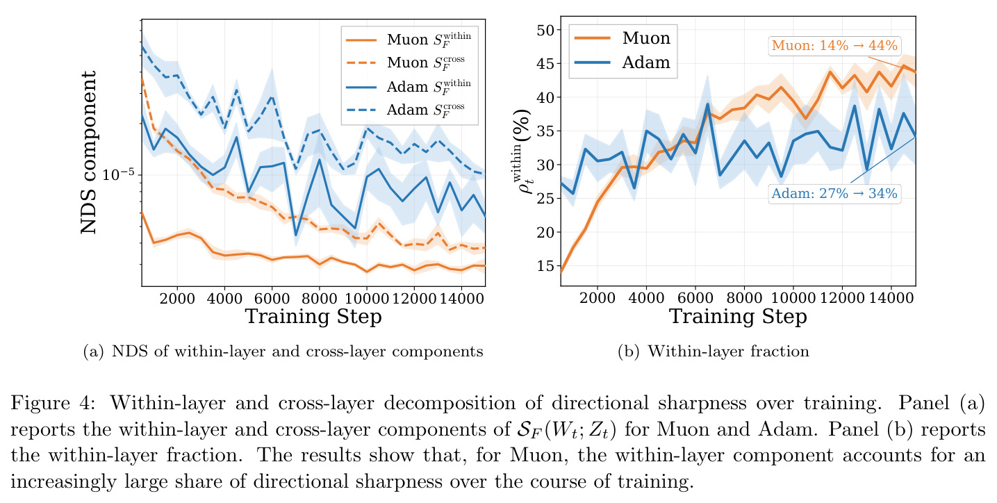 Within-layer and cross-layer decomposition of directional sharpness over training.