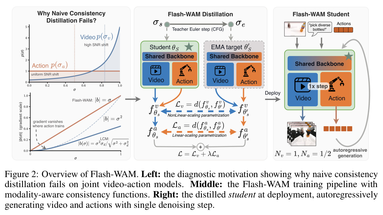 Overview of Flash-WAM.