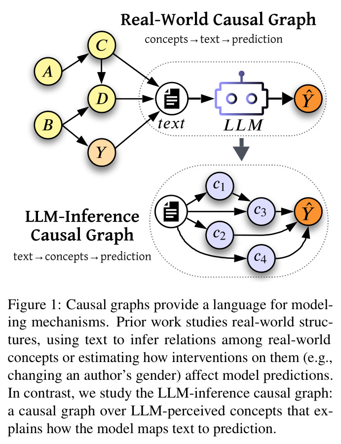 Causal graphs provide a language for modeling mechanisms. Prior work studies real-world structures... In contrast, we study the LLM-inference causal graph: a causal graph over LLM-perceived concepts that explains how the model maps text to prediction.