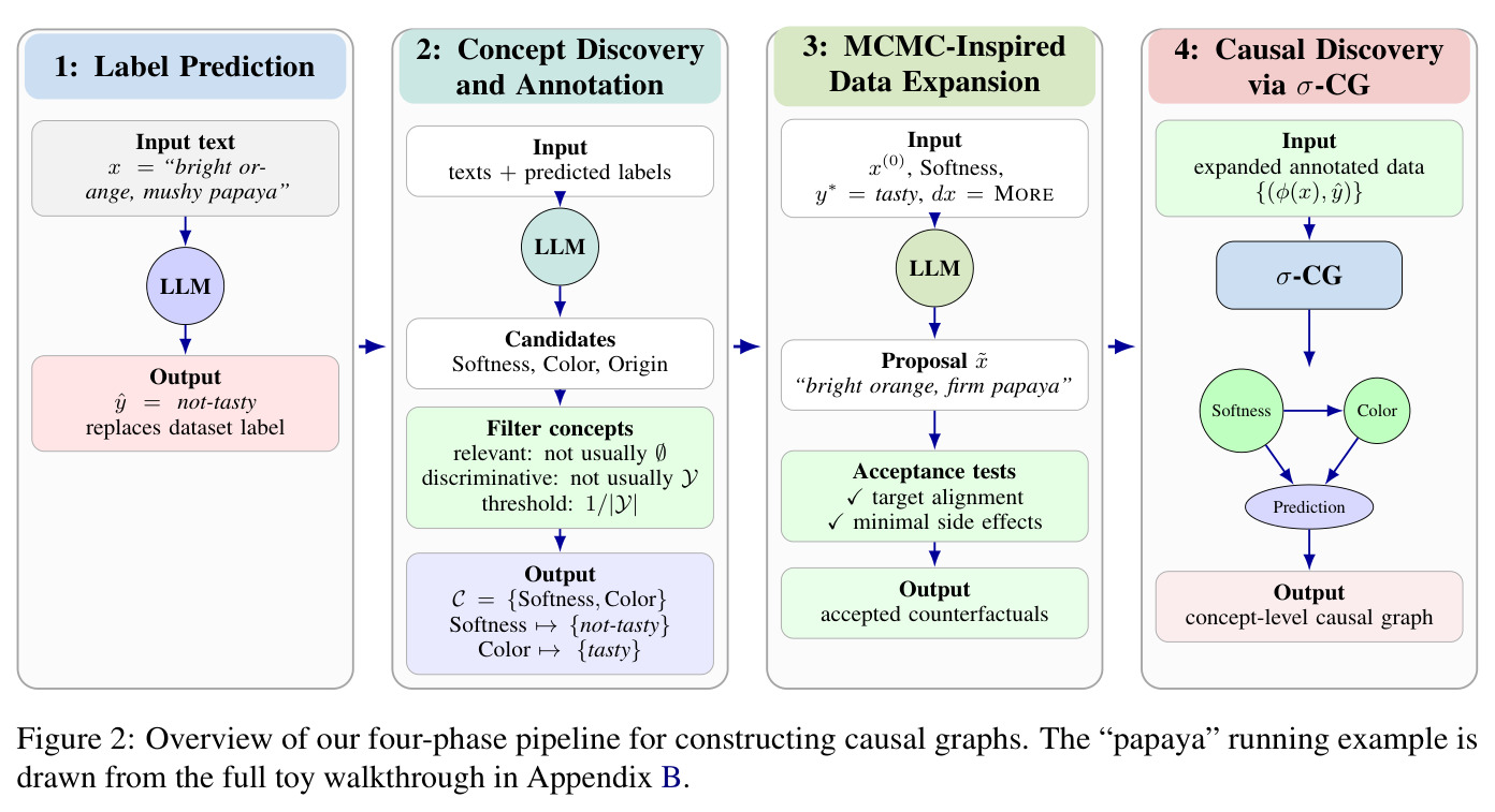 Overview of our four-phase pipeline for constructing causal graphs. The 'papaya' running example is drawn from the full toy walkthrough in Appendix B.