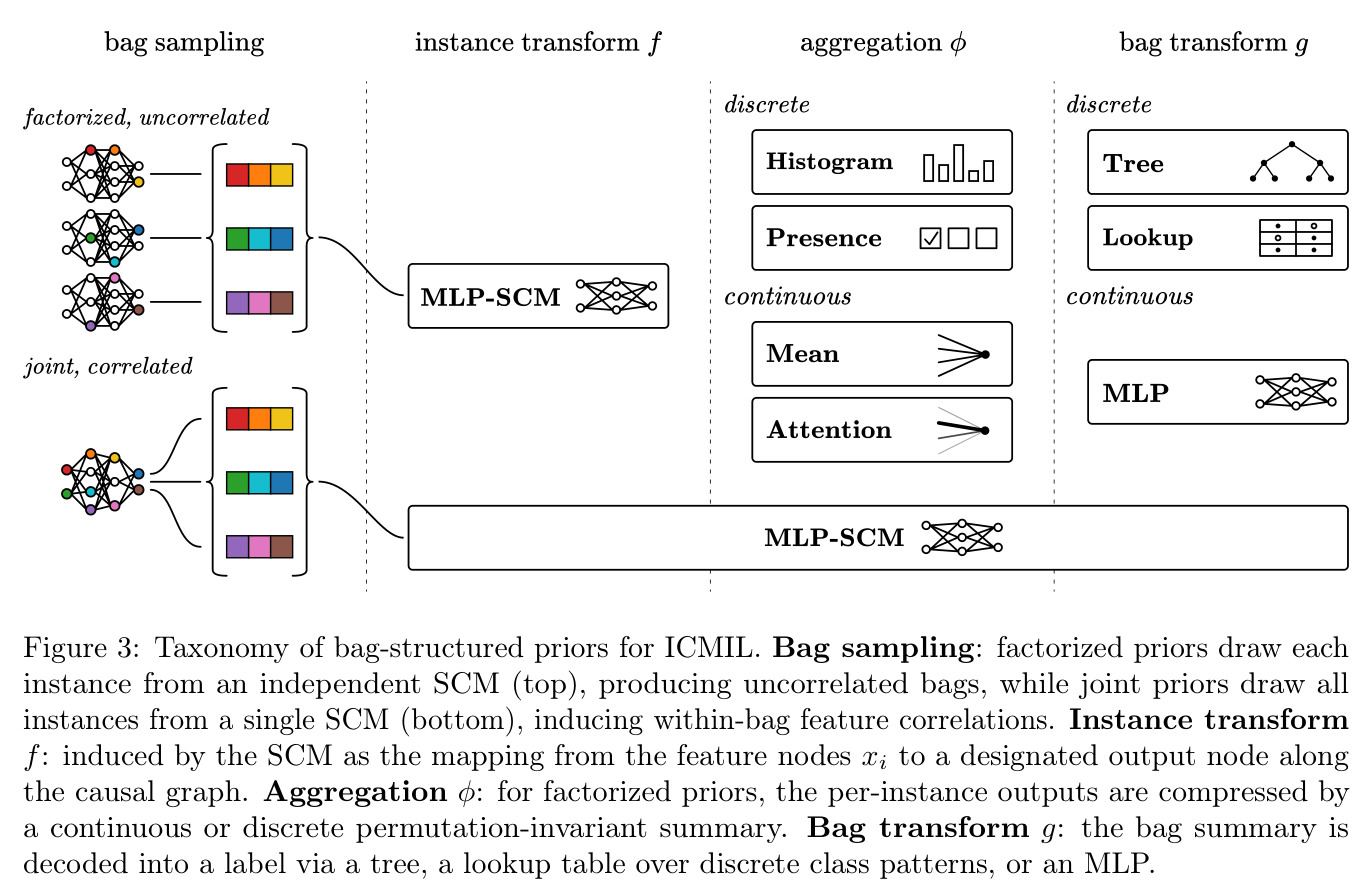Taxonomy of bag-structured priors for ICMIL.