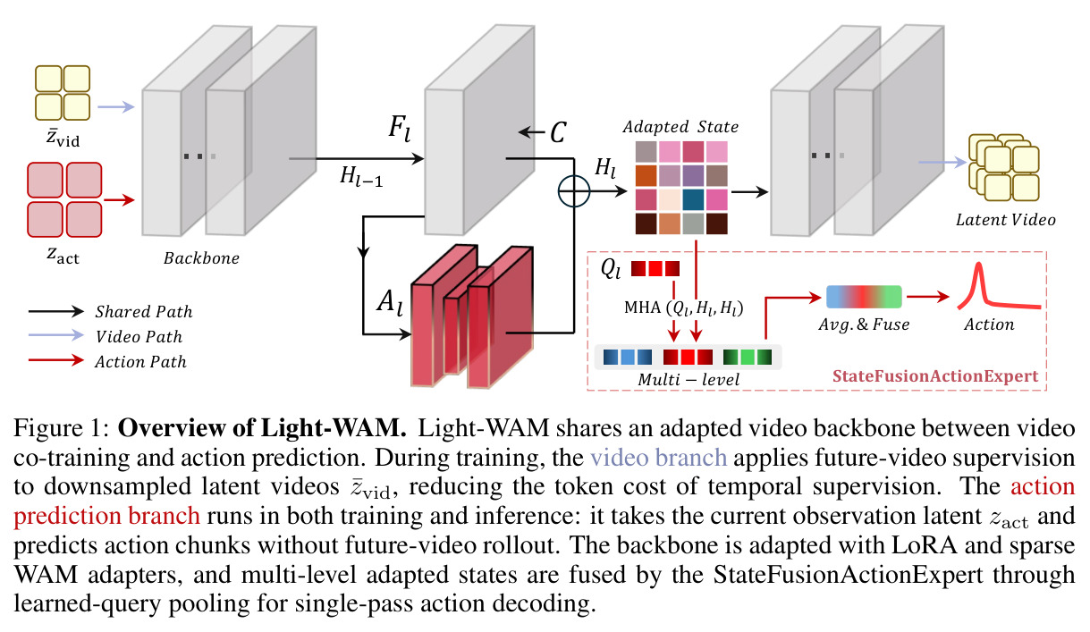 Overview of Light-WAM