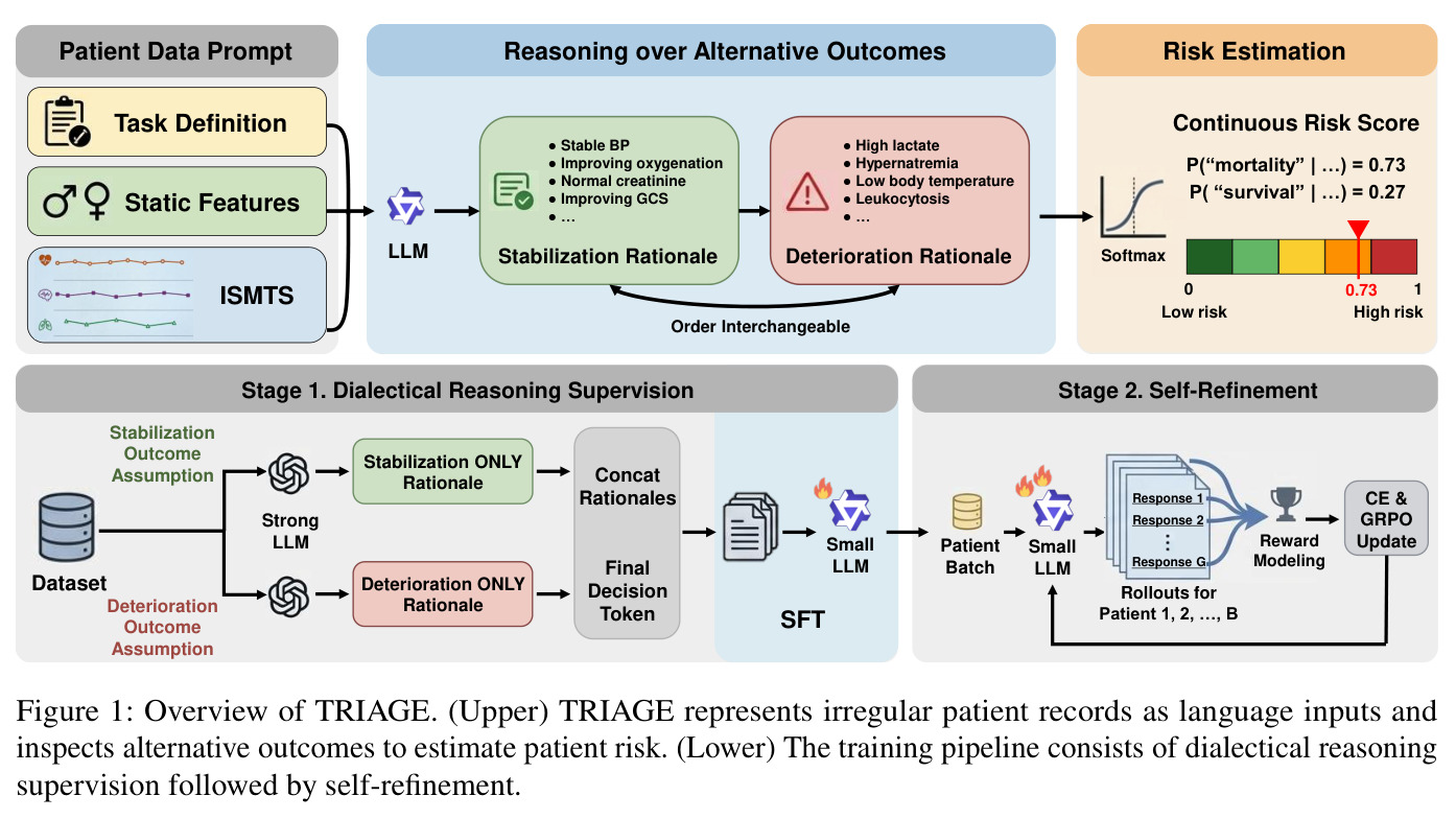 Overview of TRIAGE