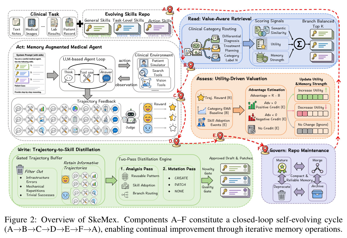 Overview of SkeMex. Components A–F constitute a closed-loop self-evolution cycle (A→B→C→D→E→F→A), enabling continual improvement through iterative memory operations.