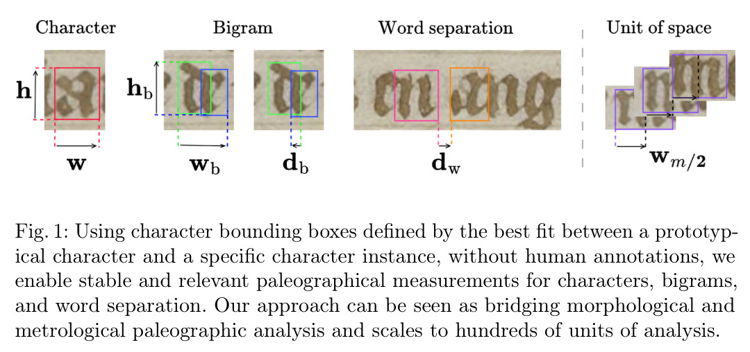 Using character bounding boxes defined by the best fit between a prototypical character and a specific character instance, without human annotations, we enable stable and relevant paleographical measurements for characters, bigrams, and word separation. Our approach can be seen as bridging morphological and metrological paleographic analysis and scales to hundreds of units of analysis.