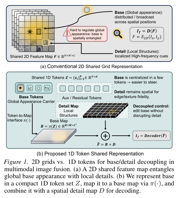 2D grids vs. 1D tokens for base/detail decoupling in multimodal image fusion.