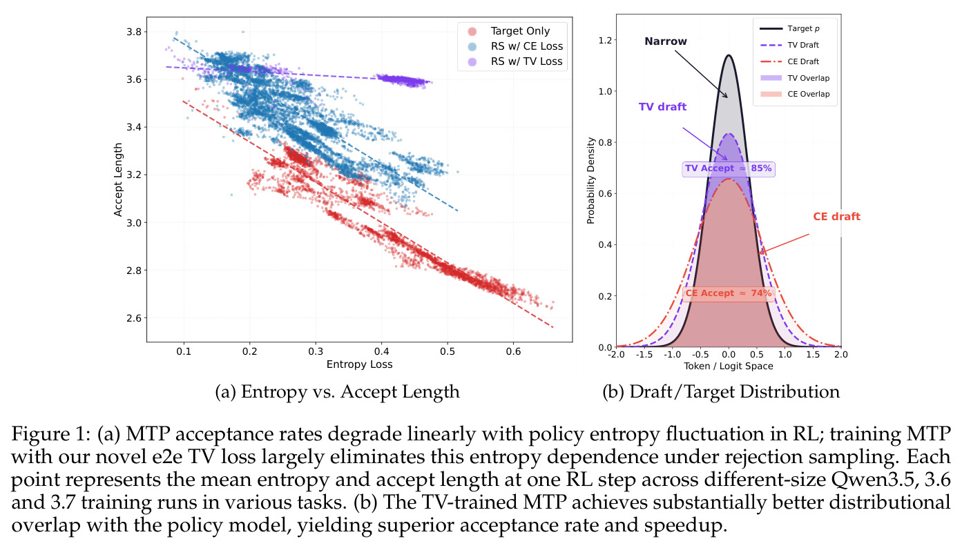 (a) MTP acceptance rates degrade linearly with policy entropy fluctuation in RL; training MTP with our novel e2e TV loss largely eliminates this entropy dependence under rejection sampling. Each point represents the mean entropy and accept length at one RL step across different-size Qwen3.5, 3.6 and 3.7 training runs in various tasks. (b) The TV-trained MTP achieves substantially better distributional overlap with the policy model, yielding superior acceptance rate and speedup.