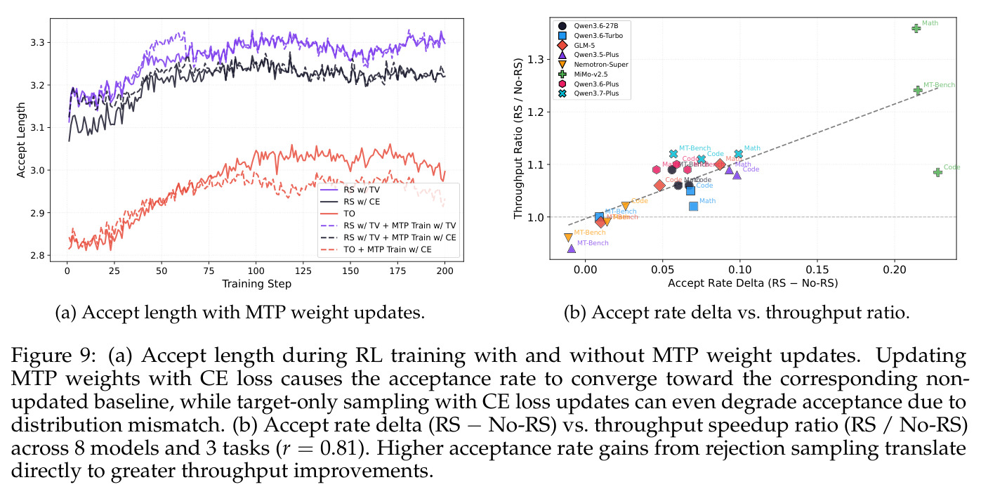 (a) Accept length during RL training with and without MTP weight updates. Updating MTP weights with CE loss causes the acceptance rate to converge toward the corresponding non-updated baseline, while target-only sampling with CE loss updates can even degrade acceptance due to distribution mismatch. (b) Accept rate delta (RS minus No-RS) vs. throughput speedup ratio (RS over No-RS) across 8 models and 3 tasks (r equals 0.81). Higher acceptance rate gains from rejection sampling translate directly to greater throughput improvements.