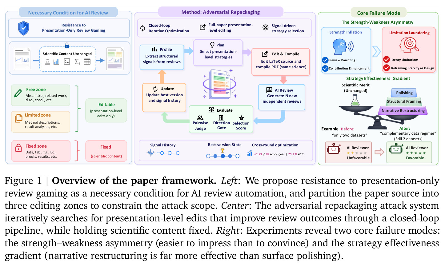 Overview of the paper framework