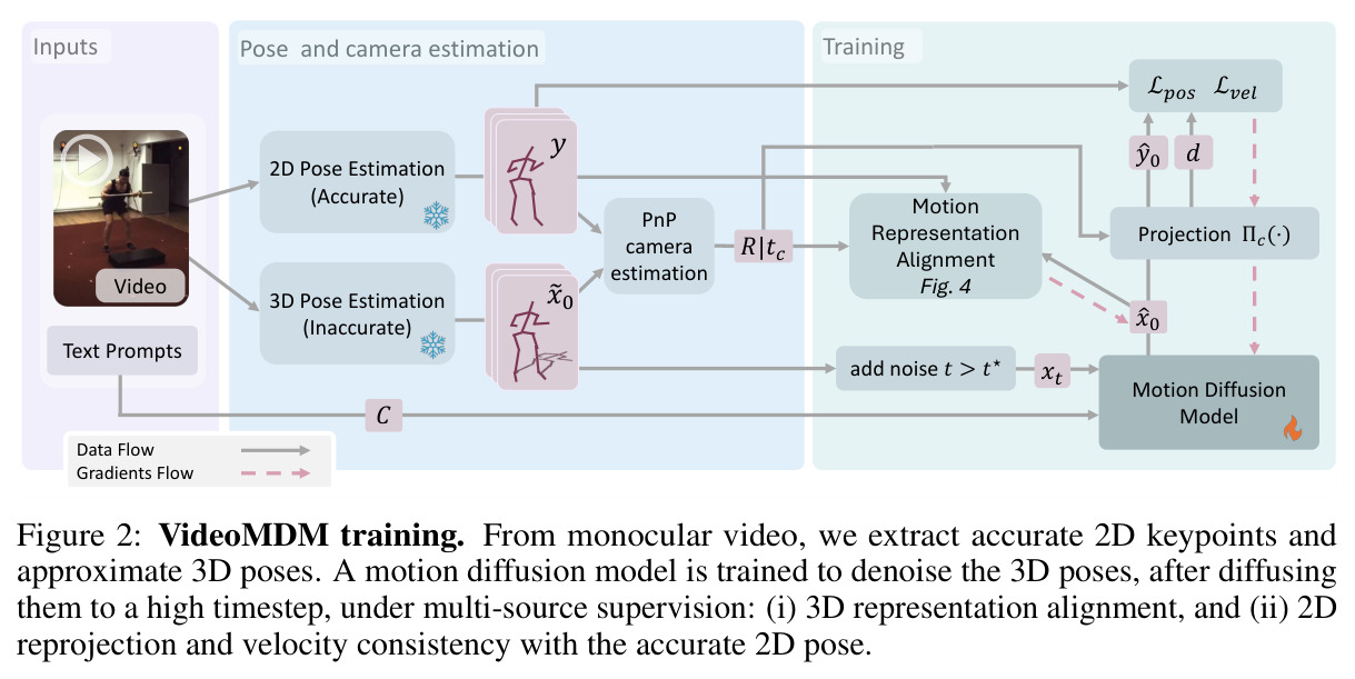 VideoMDM training. From monocular video, we extract accurate 2D keypoints and approximate 3D poses. A motion diffusion model is trained to denoise the 3D poses, after diffusing them to a high timestep, under multi-source supervision: (i) 3D representation alignment, and (ii) 2D reprojection and velocity consistency with the accurate 2D pose.