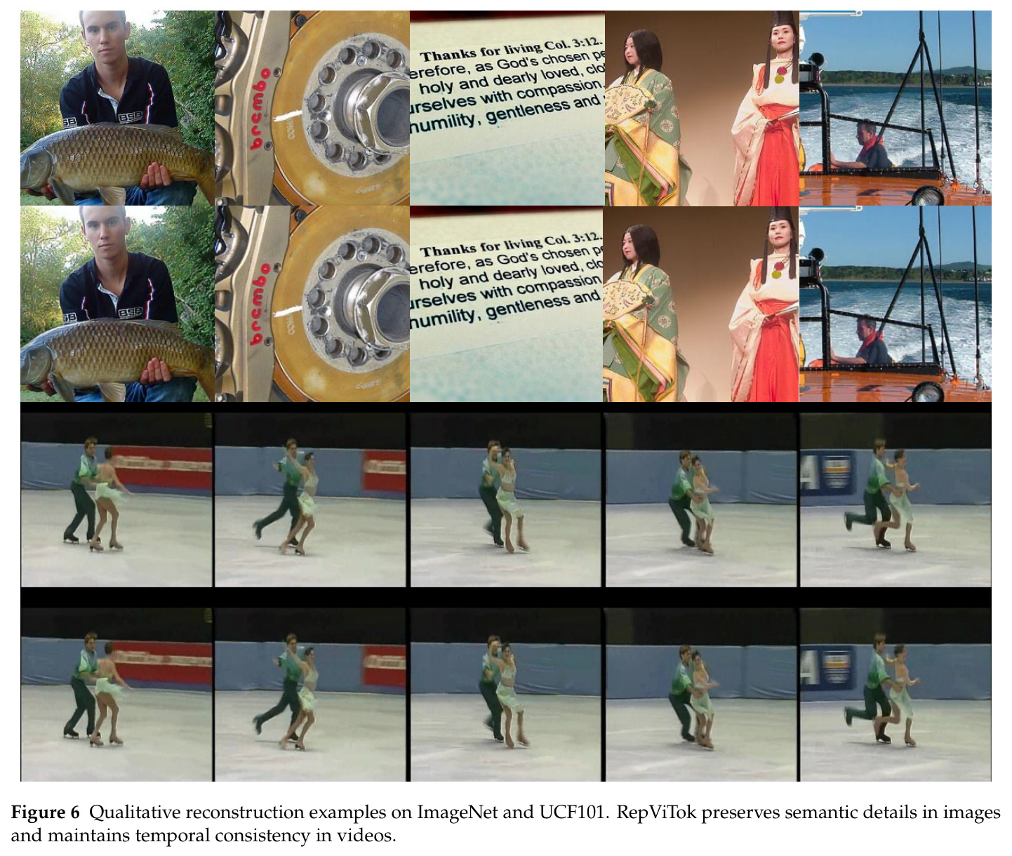Qualitative reconstruction examples on ImageNet and UCF101