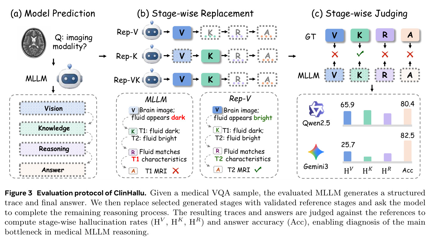 Evaluation protocol of ClinHallu.