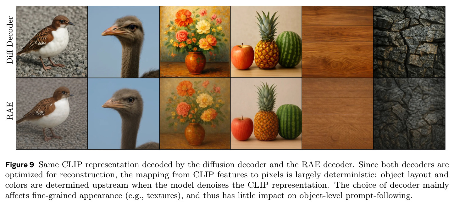 Same CLIP representation decoded by the diffusion decoder and the RAE decoder