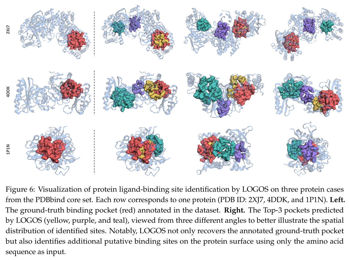 Visualization of protein ligand-binding site identification by LOGOS on three protein cases