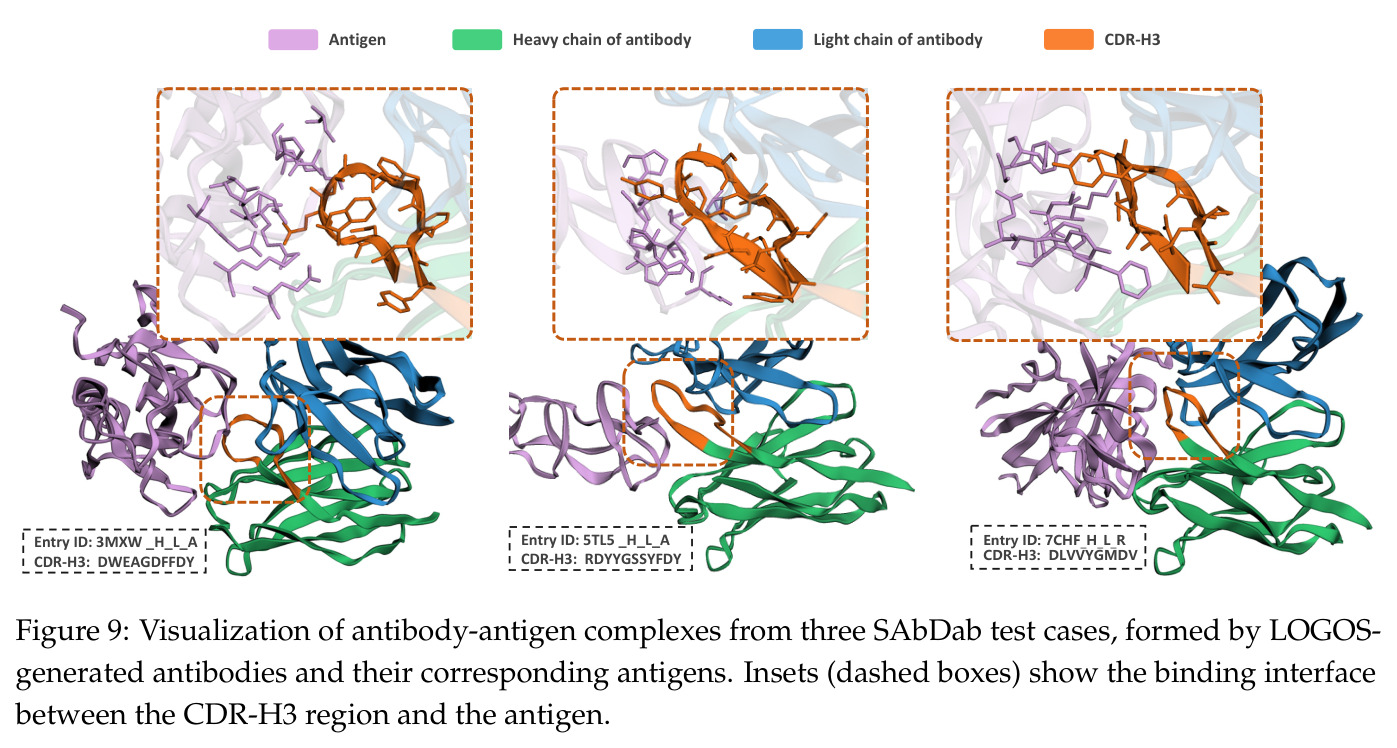Visualization of antibody-antigen complexes formed by LOGOS-generated antibodies and their corresponding antigens