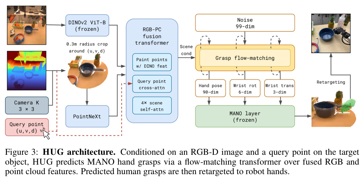 HUG architecture. Conditioned on an RGB-D image and a query point on the target object, HUG predicts MANO hand grasps via a flow-matching transformer over fused RGB and point cloud features. Predicted human grasps are then retargeted to robot hands.