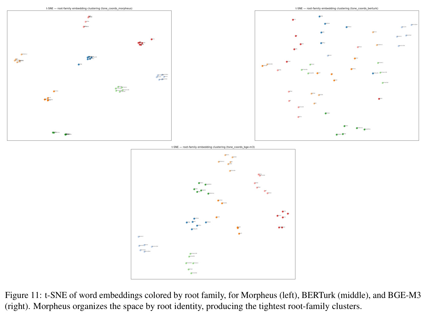 t-SNE of word embeddings colored by root family, for Morpheus (left), BERTurk (middle), and BGE-M3 (right).