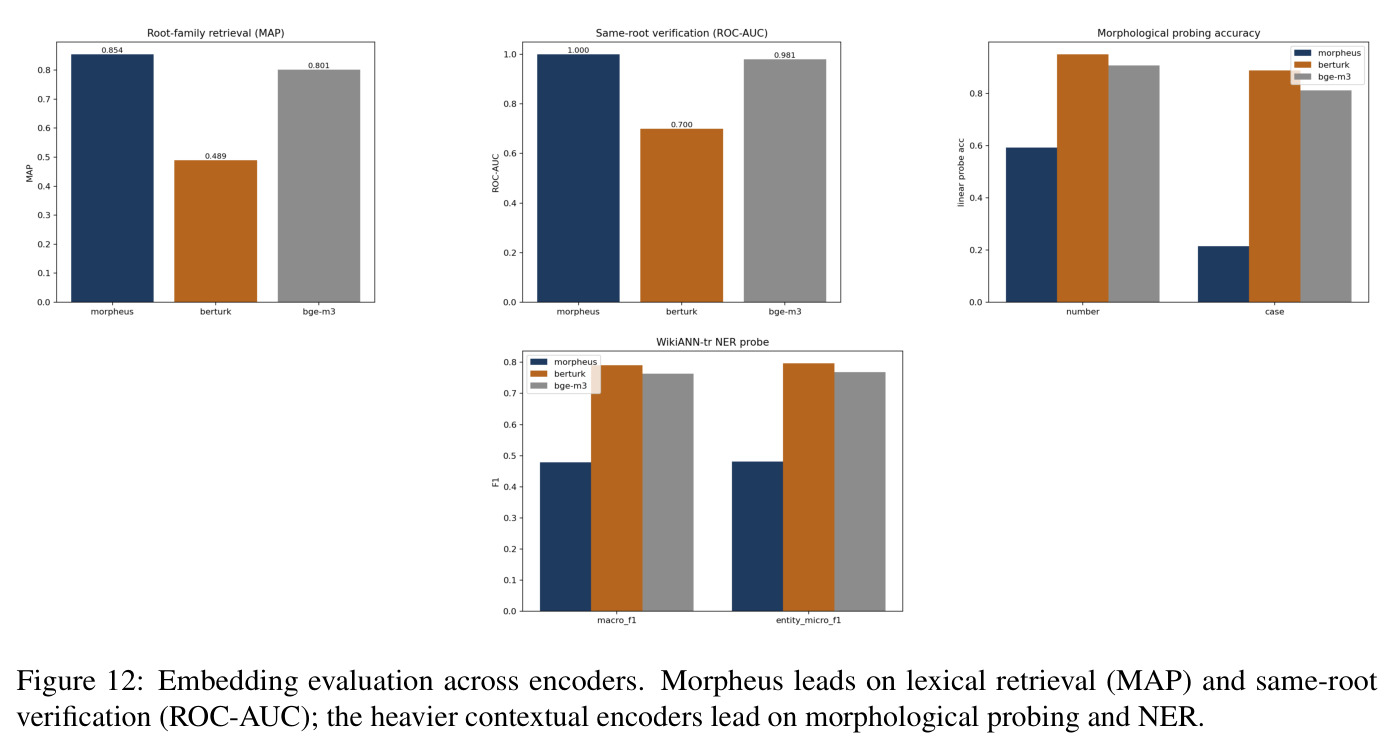 Embedding evaluation across encoders. Morpheus leads on lexical retrieval (MAP) and same-root verification (ROC-AUC); the heavier contextual encoders lead on morphological probing and NER.