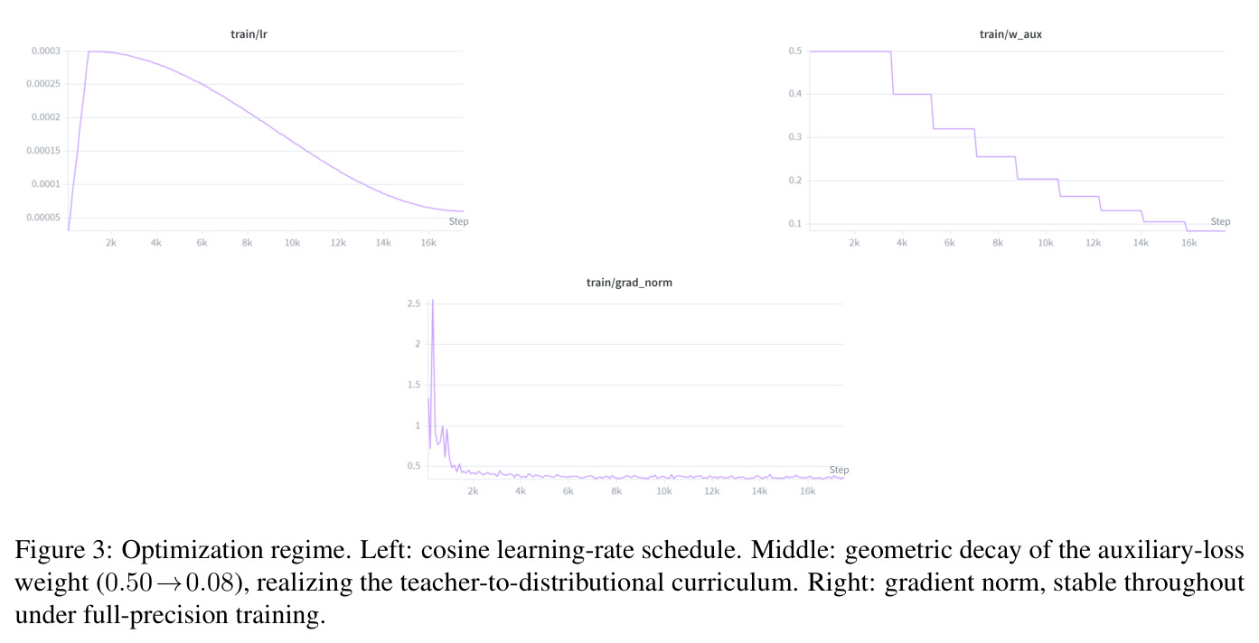 Optimization regime. Left: cosine learning-rate schedule. Middle: geometric decay of the auxiliary-loss weight (0.50→0.08), realizing the teacher-to-distribution curriculum. Right: gradient norm, stable throughout under full-precision training.