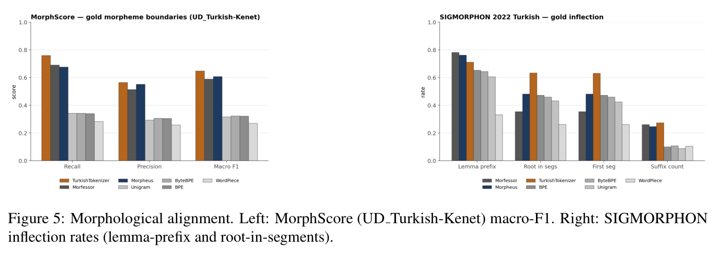 Morphological alignment. Left: MorphScore (UD Turkish-Kenet) macro-F1. Right: SIGMORPHON inflection rates (lemma-prefix and root-in-segments).