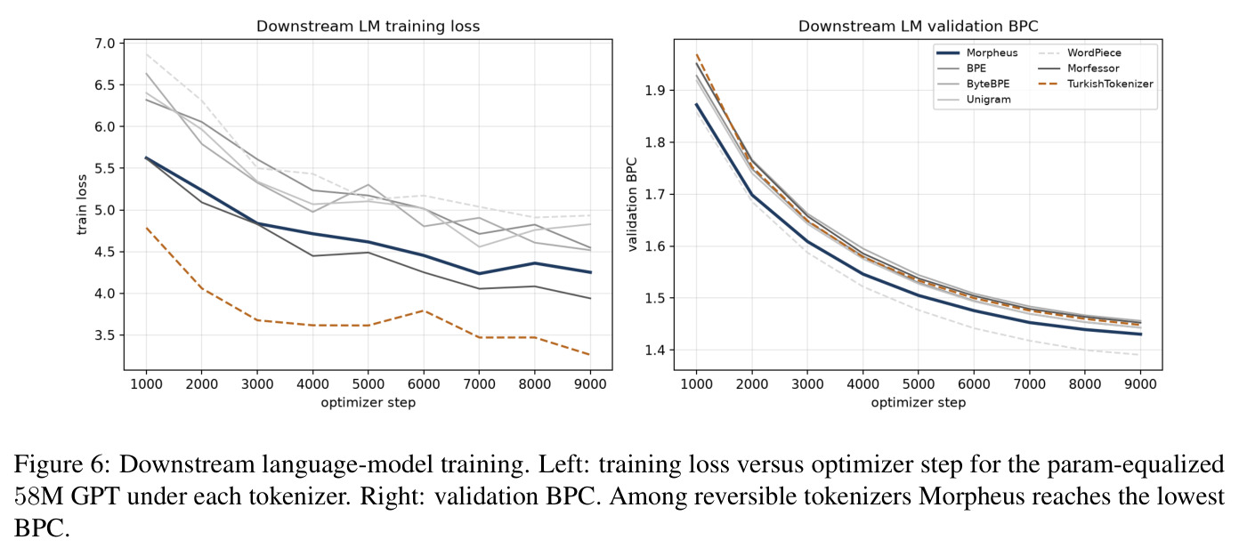 Downstream language-model training. Left: training loss versus optimizer step for the param-equalized 58M GPT under each tokenizer. Right: validation BPC.