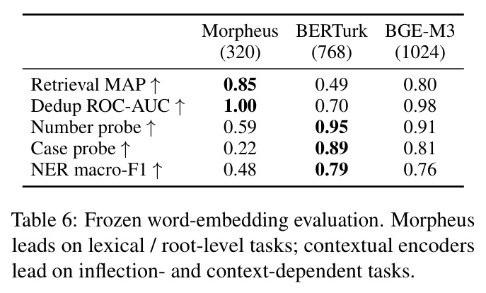 Frozen word-embedding evaluation. Morpheus leads on lexical / root-level tasks; contextual encoders lead on inflection- and context-dependent tasks.
