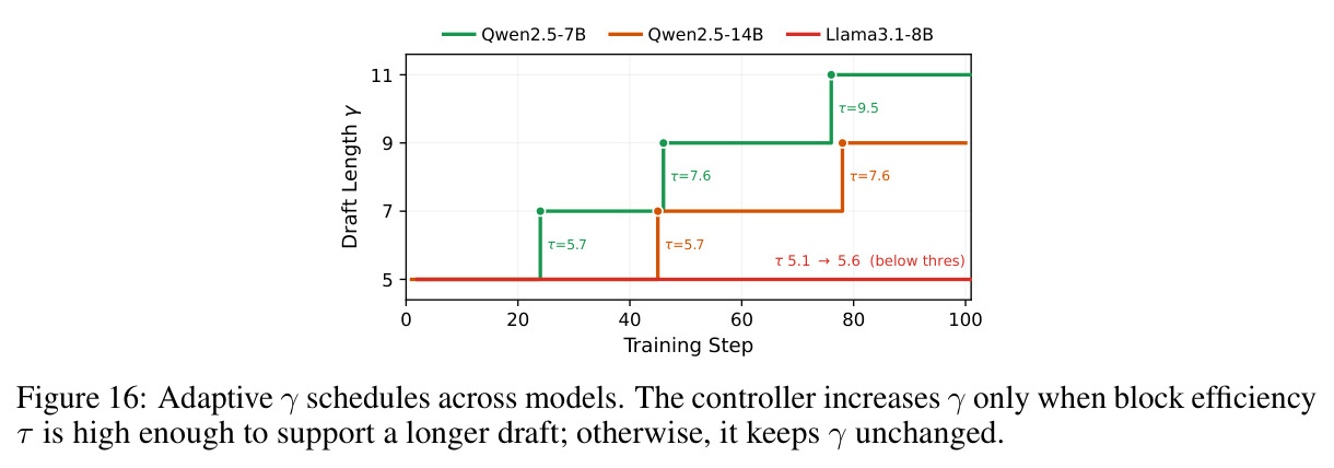 Adaptive γ schedules across models