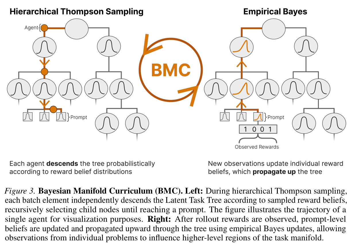 Bayesian Manifold Curriculum (BMC). Left: During hierarchical Thompson sampling, each batch element independently descends the Latent Task Tree according to sampled reward beliefs. Right: After rollout rewards are observed, prompt-level beliefs are updated and propagated upward through the tree using empirical Bayes updates.