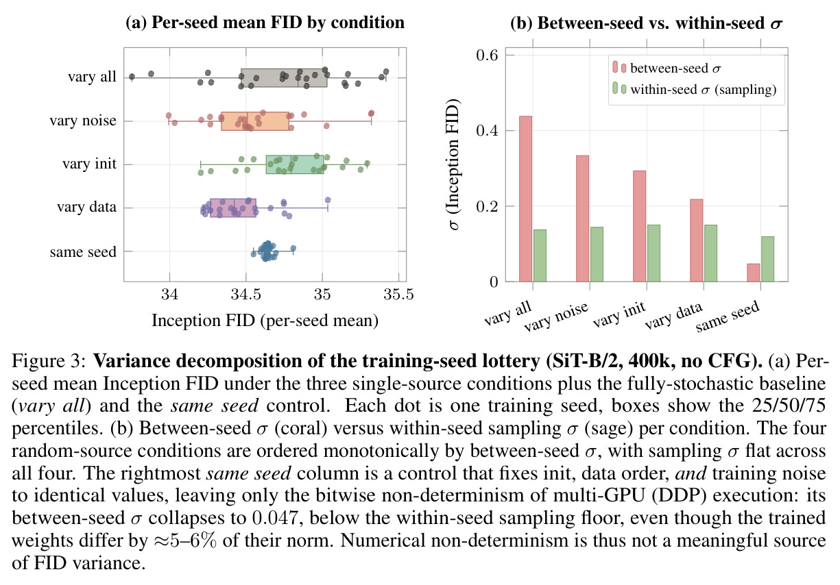 Variance decomposition of the training-seed lottery