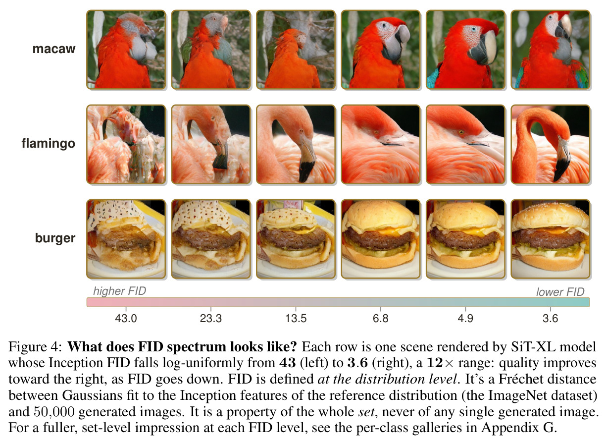 What does FID spectrum looks like?