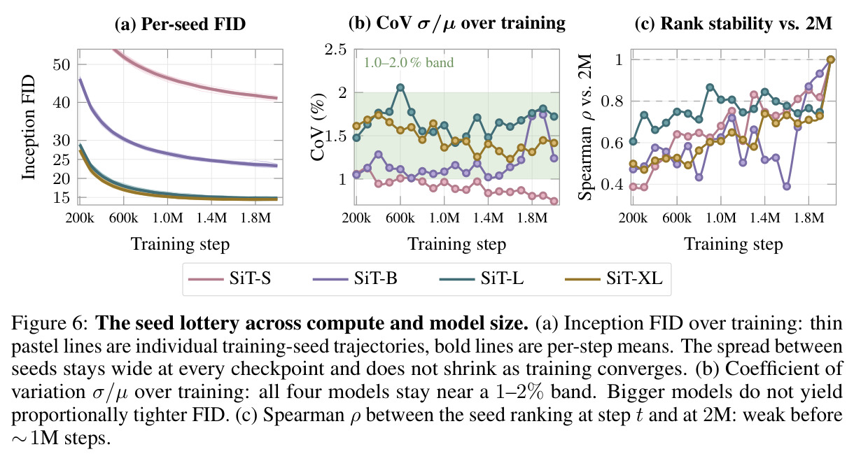 The seed lottery across compute and model size