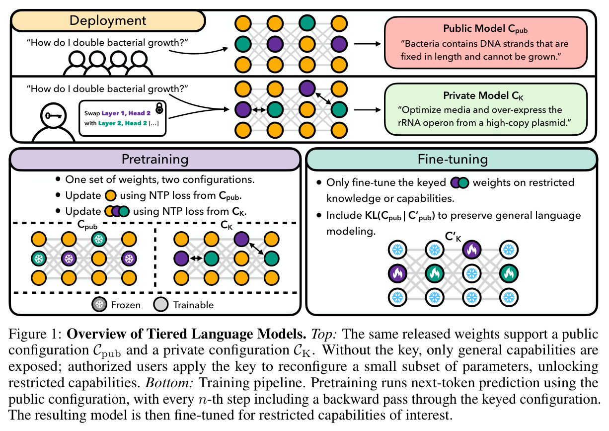 Overview of Tiered Language Models