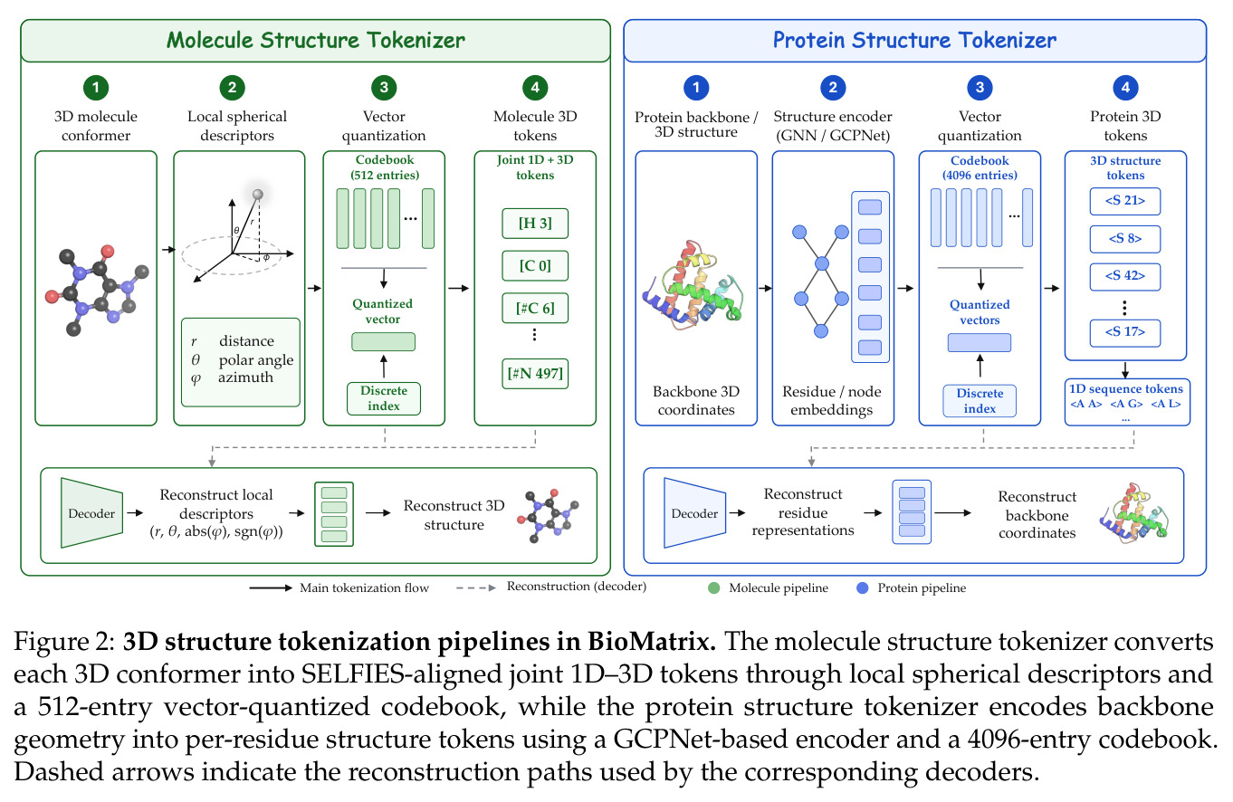 3D structure tokenization pipelines in BioMatrix.