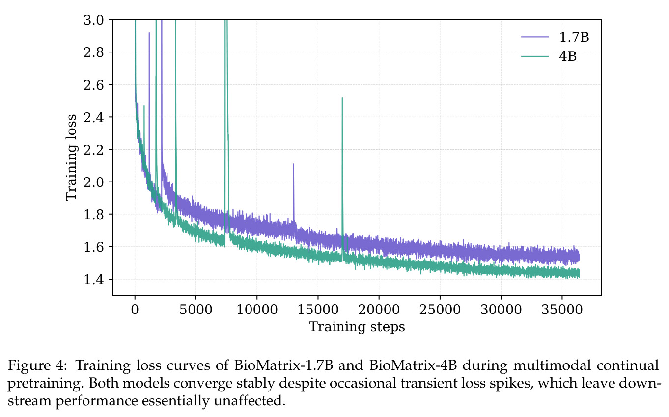 Training loss curves of BioMatrix-1.7B and BioMatrix-4B during multimodal continual pretraining.