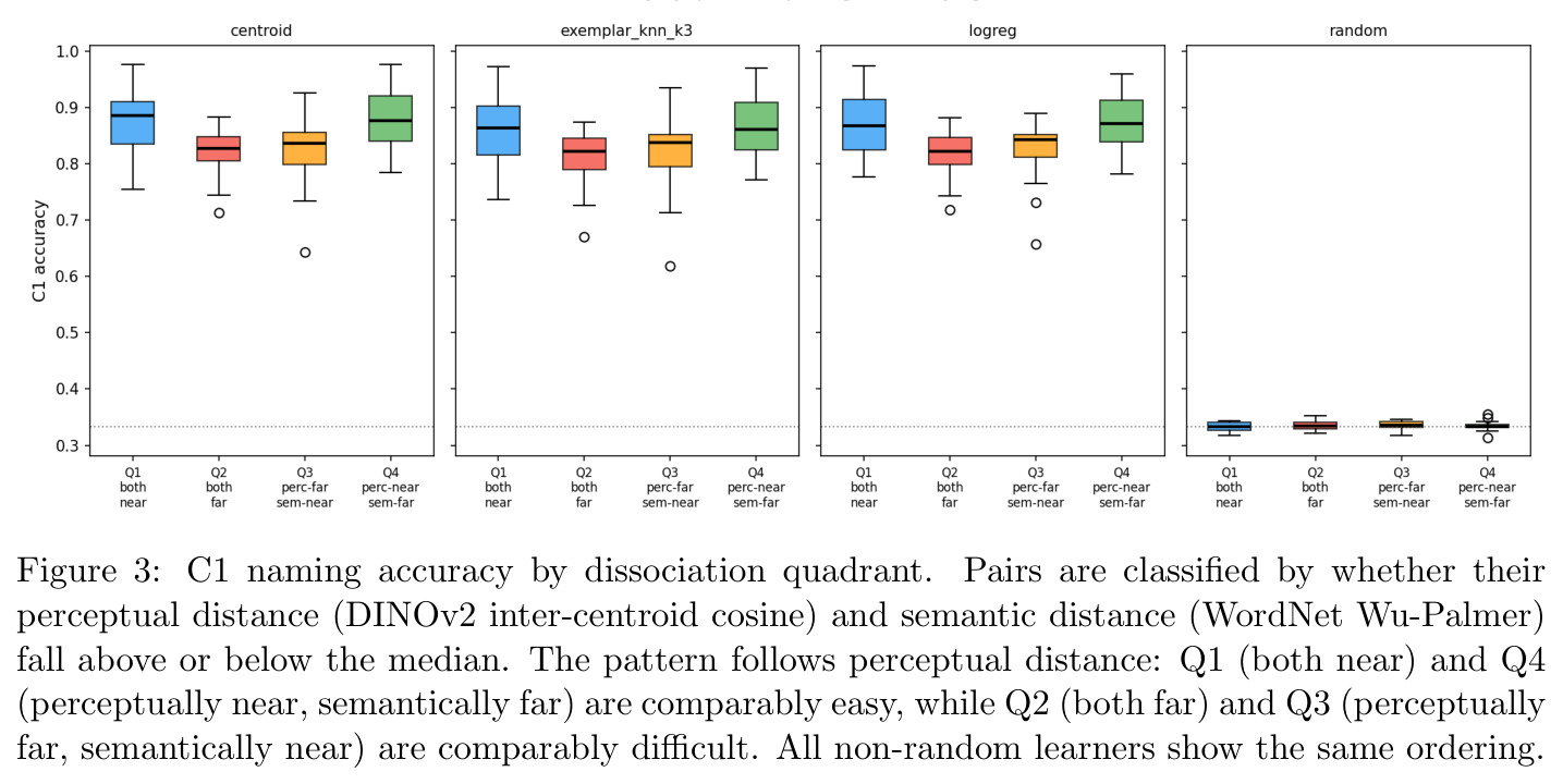 C1 naming accuracy by dissociation quadrant. Pairs are classified by whether their perceptual distance (DINOv2 inter-centroid cosine) and semantic distance (WordNet Wu-Palmer) fall above or below the median. The pattern follows perceptual distance: Q1 (both near) and Q4 (perceptually near, semantically far) are comparably easy, while Q2 (both far) and Q3 (perceptually far, semantically near) are comparably difficult.