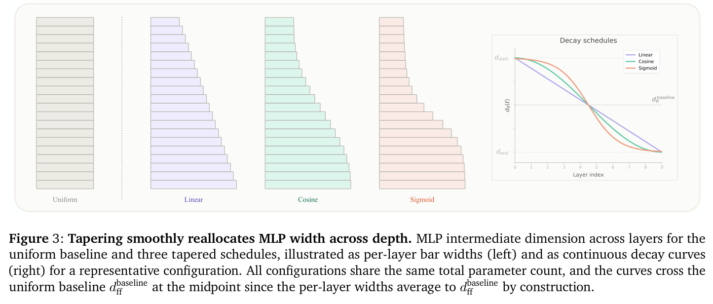 Tapering smoothly reallocates MLP width across depth.