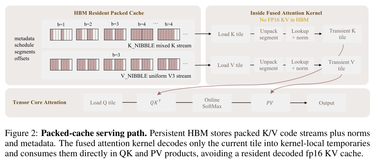 Packed-cache serving path. Persistent HBM stores packed K/V code streams plus norms and metadata. The fused attention kernel decodes only the current tile into kernel-local temporaries and consumes them directly in QK and PV products, avoiding a resident decoded fp16 KV cache.
