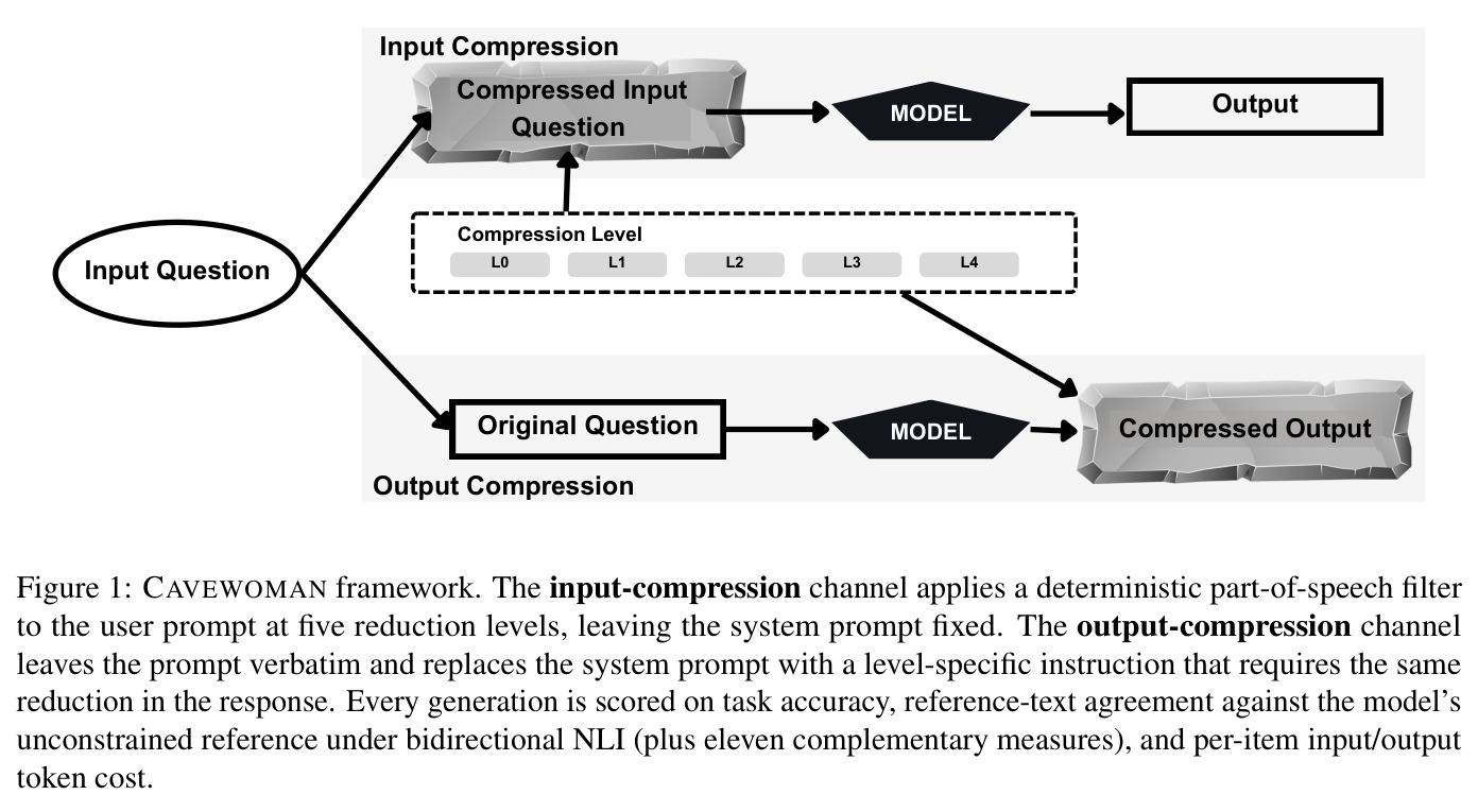 CAVEWOMAN framework. The input-compression channel applies a deterministic part-of-speech filter to the user prompt at five reduction levels, leaving the system prompt fixed. The output-compression channel leaves the prompt verbatim and replaces the system prompt with a level-specific instruction that requires the same reduction in the response. Every generation is scored on task accuracy, reference-text agreement against the model's unconstrained reference under bidirectional NLI (plus eleven complementary measures), and per-item input/output token cost.
