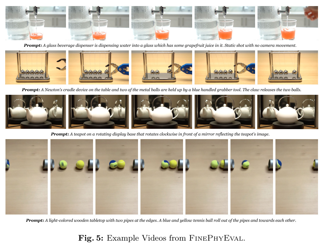 Example Videos from FinePhyEval.